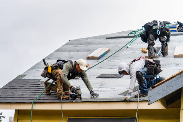 Professional Roofing technician working in Wapello, IA